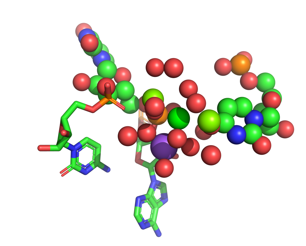 Strontium binding site 31 out of 114 in 1vq8 Strontium binding site 31 out of 114 in 1vq8