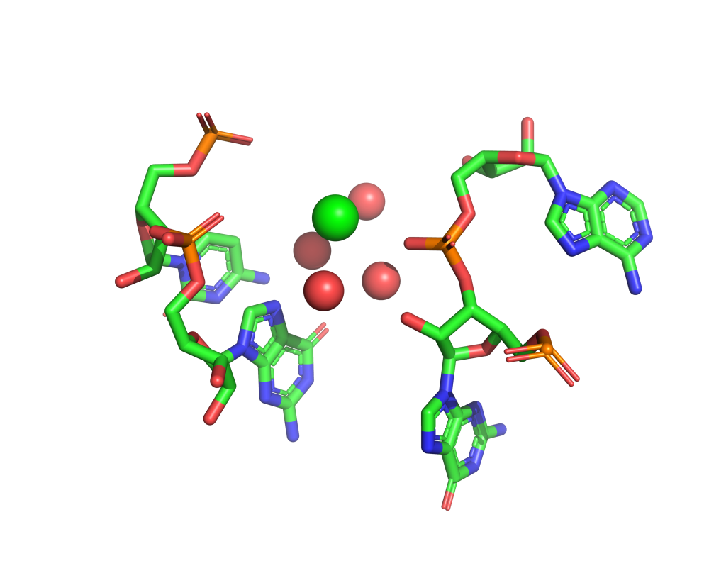 Strontium binding site 100 out of 114 in 1vq9 Strontium binding site 100 out of 114 in 1vq9