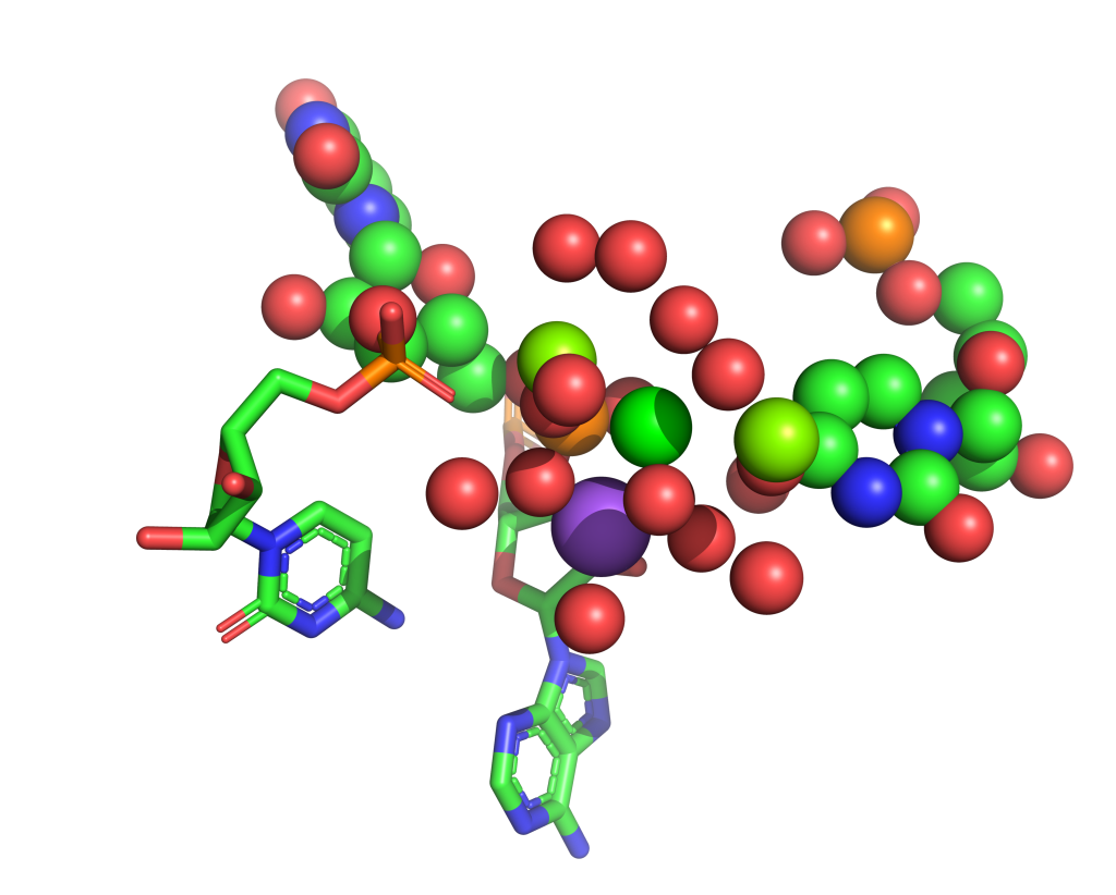 Strontium binding site 31 out of 114 in 1vq9 Strontium binding site 31 out of 114 in 1vq9