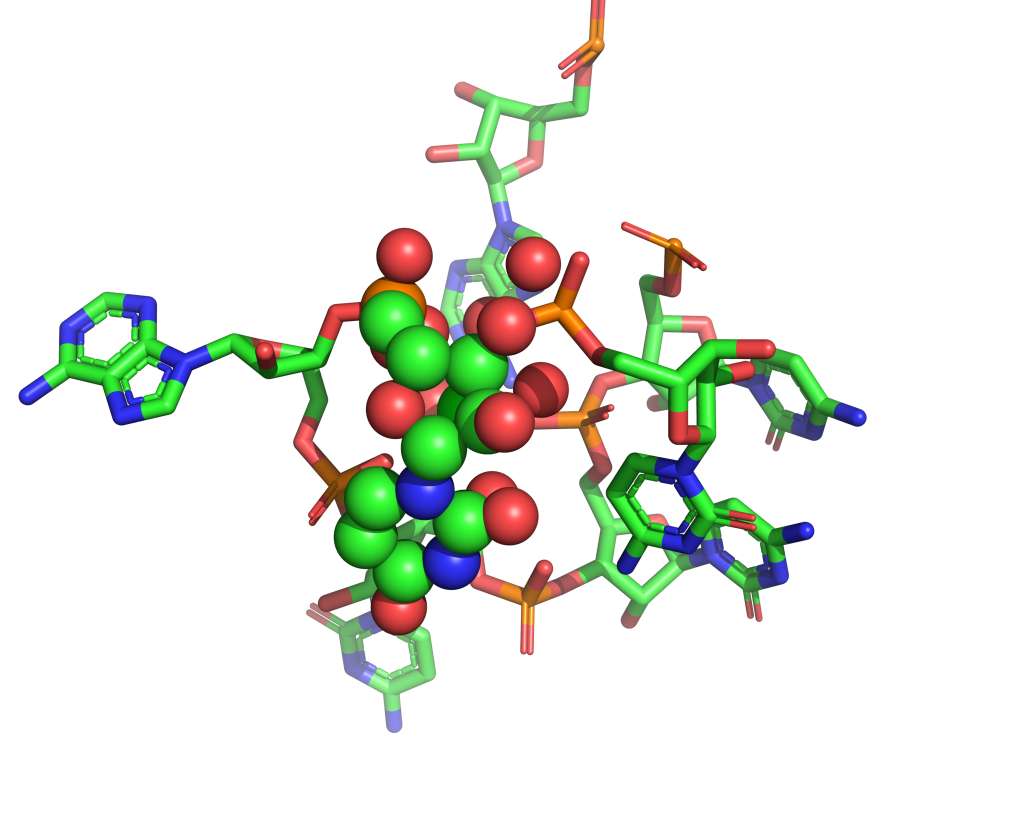 Strontium binding site 34 out of 114 in 1vq9 Strontium binding site 34 out of 114 in 1vq9