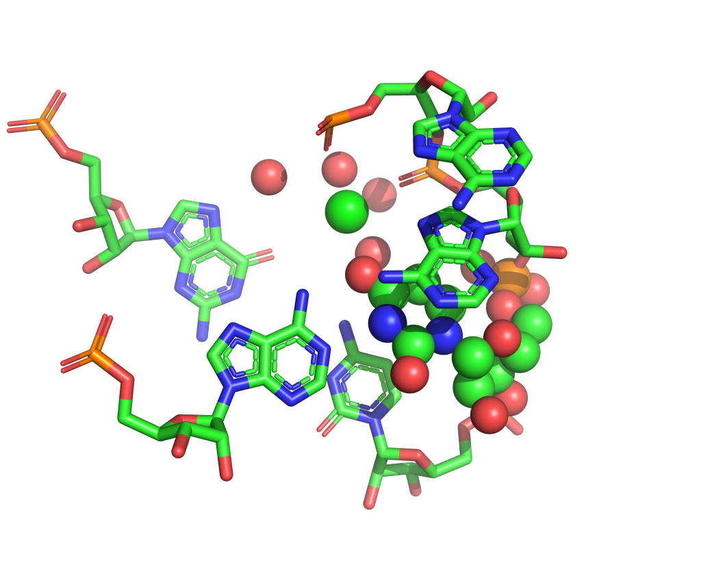 Strontium binding site 41 out of 114 in 1vqk Strontium binding site 41 out of 114 in 1vqk