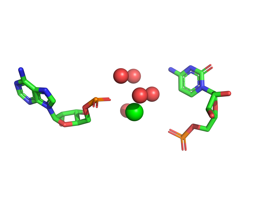 Strontium binding site 101 out of 114 in 1vql Strontium binding site 101 out of 114 in 1vql