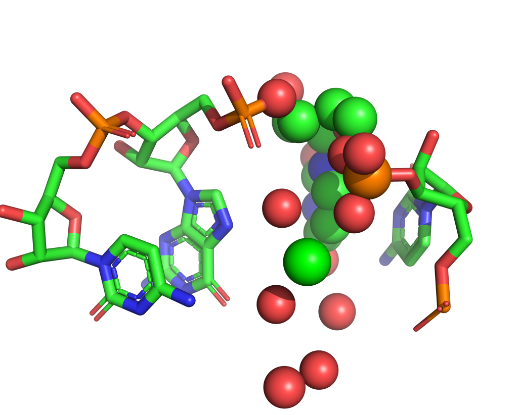 Strontium binding site 51 out of 114 in 1vql Strontium binding site 51 out of 114 in 1vql