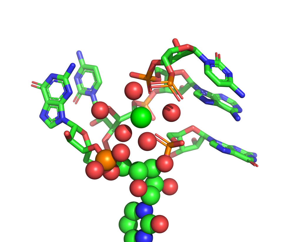 Strontium binding site 40 out of 114 in 1vqm Strontium binding site 40 out of 114 in 1vqm