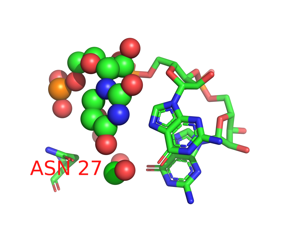 Strontium binding site 50 out of 114 in 1vqm Strontium binding site 50 out of 114 in 1vqm