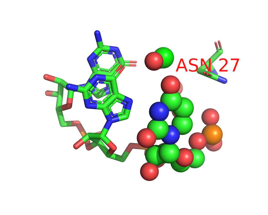 Strontium binding site 50 out of 114 in 1vqn Strontium binding site 50 out of 114 in 1vqn