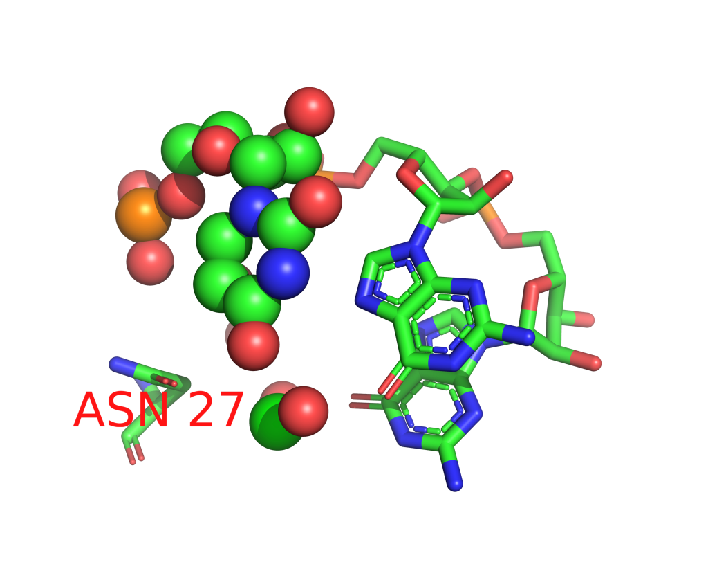 Strontium binding site 50 out of 114 in 1vqo Strontium binding site 50 out of 114 in 1vqo